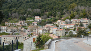 Agence Immobilière Commerciale Sevran